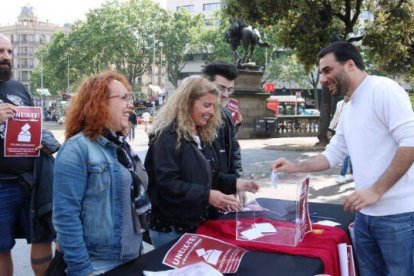 Consulta sobre la monarquía