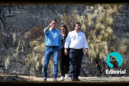 Pedro Sánchez en los incendios extremeños