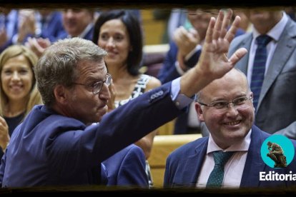 Feijóo en el Senado