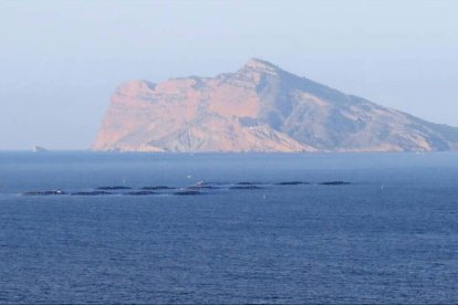 La piscifactoría pretende ampliar de 12 a 45 jaulas frente al peñón