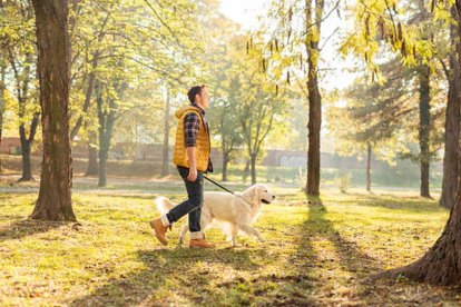 Rutas de senderismo con perros en Madrid