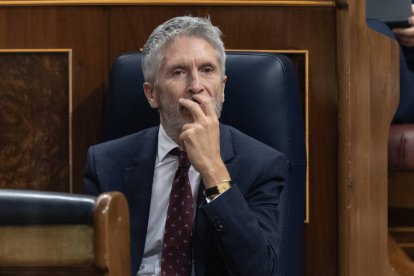 Fernando Grande Marlaska en el Congreso