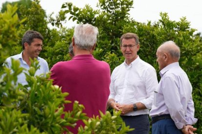 Feijóo en un campo de naranjas en Valencia