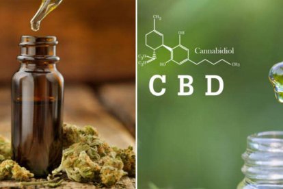 Diferencias entre aceite de cáñamo y el de CBD