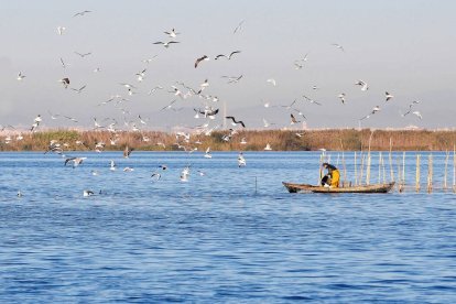 Pesca tradicional en La Albufera de Valencia.