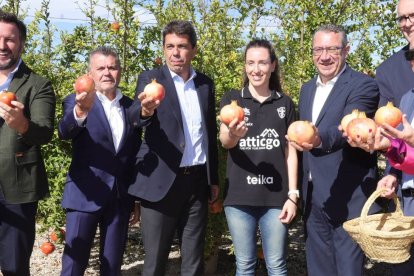 Carlos Mazón presente en el inicio de campaña de la granada mollar - GVA