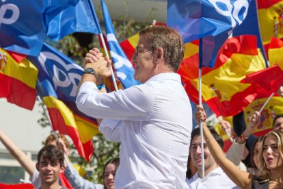 Alberto Núñez Feijóo, en la manifestación del domingo en Madrid.