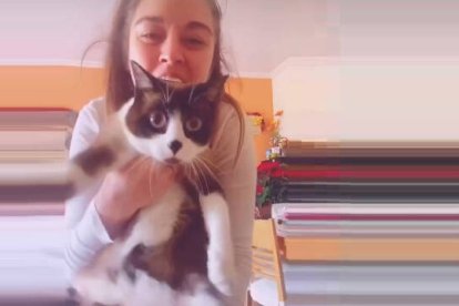 La consellera Mireia Mollà con su gato en uno de sus bailes de TikTok