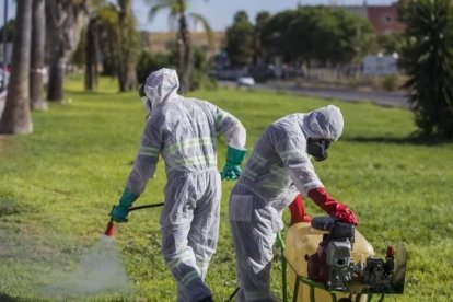 Labores de fumigación de parques y zonas verdes contra el mosquito del virus del Nilo.
AYTO.GUILLENA
(Foto de ARCHIVO)
09/6/2022