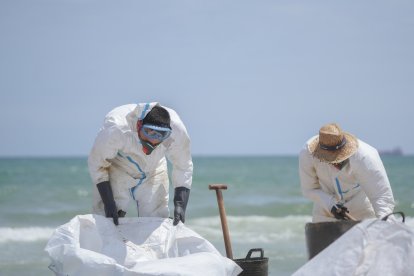 Operarios realizando labores de limpieza en el Saler