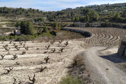 Campos en el interior de la Comunitat Valenciana