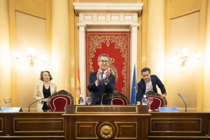 El presidente del Partido Popular, Alberto Núñez Feijóo, preside una reunión con los grupos parlamentarios del PP en el Senado.