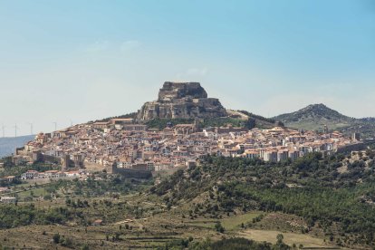 Morella