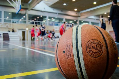 Liga Endesa Baloncesto