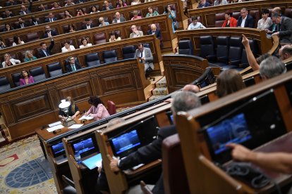 Varios diputados votan durante una sesión en el Congreso de los Diputados.