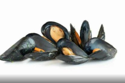 Mejillones