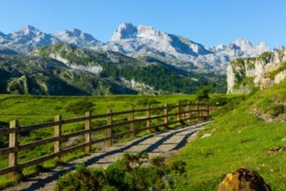 Picos de Europa