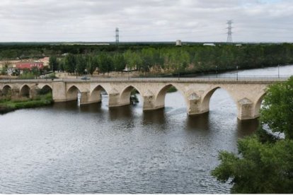 Puentes romanos Castilla y León