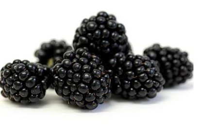 Moras