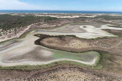 Laguna de Santa Olalla, en Doñana, seca en agosto de 2022.

BANCO DE IMÁGENES DE LA EBD/CSIC
03/9/2022