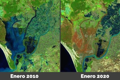 Imágenes satélite de enero de 2010 y enero de 2020 donde se aprecia la reducción de agua en las marismas de Doñana.