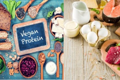 Proteinas vegetales vs proteínas de origen animal