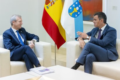 El presidente de la Xunta de Galicia, Alfonso Rueda y el presidente del Gobierno, Pedro Sánchez conversan durante su reunión en Moncloa.