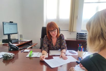 Servicio de intervención y mediación del ayuntamiento de Alicante