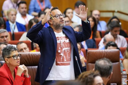 El portavoz de Adelante Andalucía, José Ignacio García, en una intervención en el Parlamento.