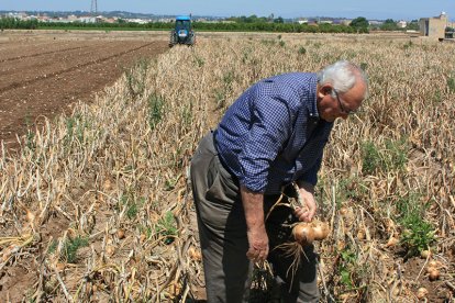 Agricultor realizando trabajos en el campo