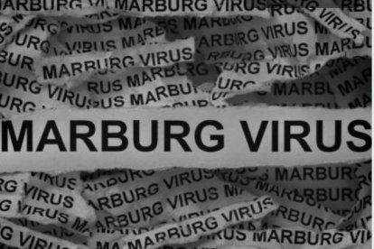 El virus de Marburgo