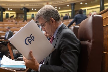 El presidente del Partido Popular, Alberto Núñez Feijóo, antes de una sesión en el Congreso de los Diputados.