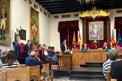 Pleno en el Ayuntamiento de Elche