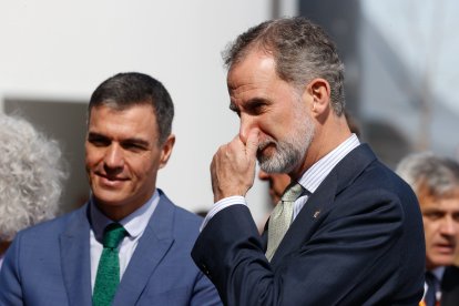 Pedro Sánchez y Felipe VI