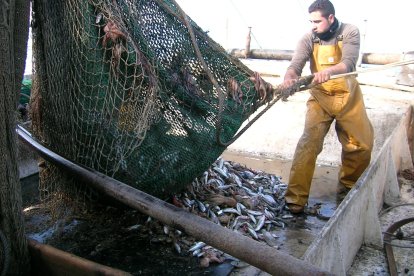 Pescador andaluz.