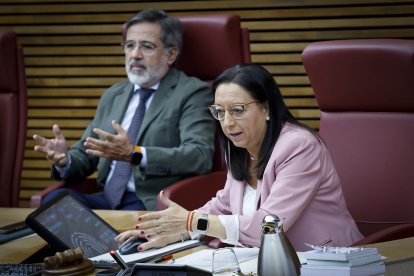 La presidenta de Les Corts, Llanos Massó