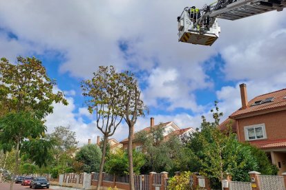 Los Bomberos de la Diputación Valladolid intervienen en Arroyo de la Encomienda (Valladolid) ante el desprendimiento y rotura de ramas de árboles por el viento.