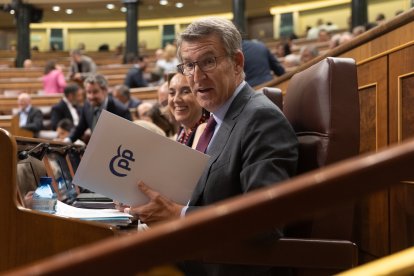 El presidente del Partido Popular, Alberto Núñez Feijóo, en una sesión plenaria en el Congreso.