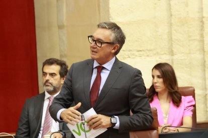 El portavoz del Grupo Vox, Manuel Gavira, durante su intervención en el Parlamento Andaluz.