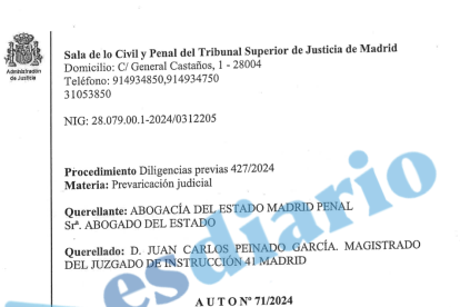 Auto del TSJM al que ESdiario ha tenido acceso