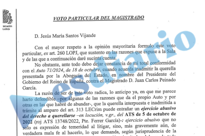 Fragmento del auto del TSJM al que ESdiario ha tenido acceso