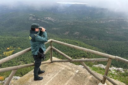 Un agente de la Guardia Civil en el dispositivo de búsqueda de la avionata en la sierra de Jaén.