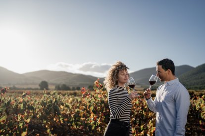 Viñedos de Bullas