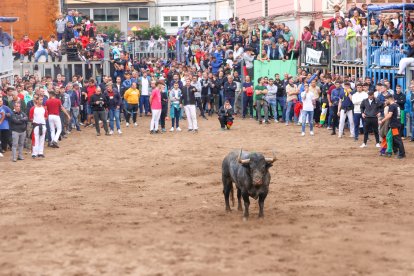 Festejos taurinos Onda