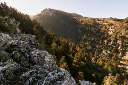 (Foto de ARCHIVO)
Parque Natural Sierra de Grazalema.

JUNTA DE ANDALUCÍA
18/5/2022