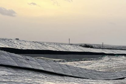 Un invernadero desplomado en El Ejido (Almería) a causa de la tormenta de granizo, lluvia y viento.

REMITIDA / HANDOUT por AYUNTAMIENTO DE EL EJIDO
Fotografía remitida a medios de comunicación exclusivamente para ilustrar la noticia a la que hace referencia la imagen, y citando la procedencia de la imagen en la firma
29/10/2024