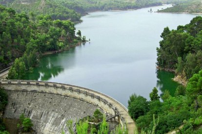 Presa de buseo