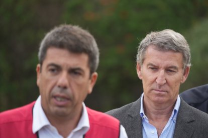 El presidente de la Generalitat Valenciana, Carlos Mazón, y el presidente del Partido Popular, Alberto Núñez Feijóo.