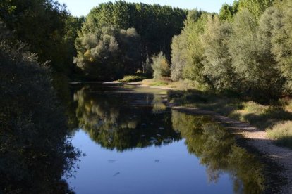 Ríos más largos de Castilla y León