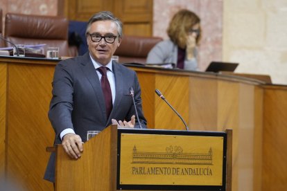 Manuel Gavira, portavoz de Vox, este miércoles ante el Pleno del Parlamento

FRANCISCO J. OLMO-EUROPA PRESS
13/11/2024